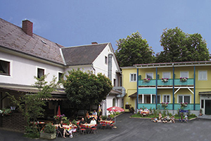 Exterior View - Oberer Gesslbauer Inn