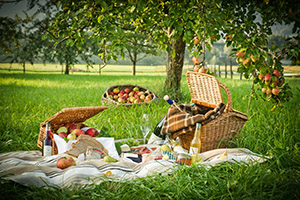 Picknickkörbe und Picknickdecke unter Apfelbäumen